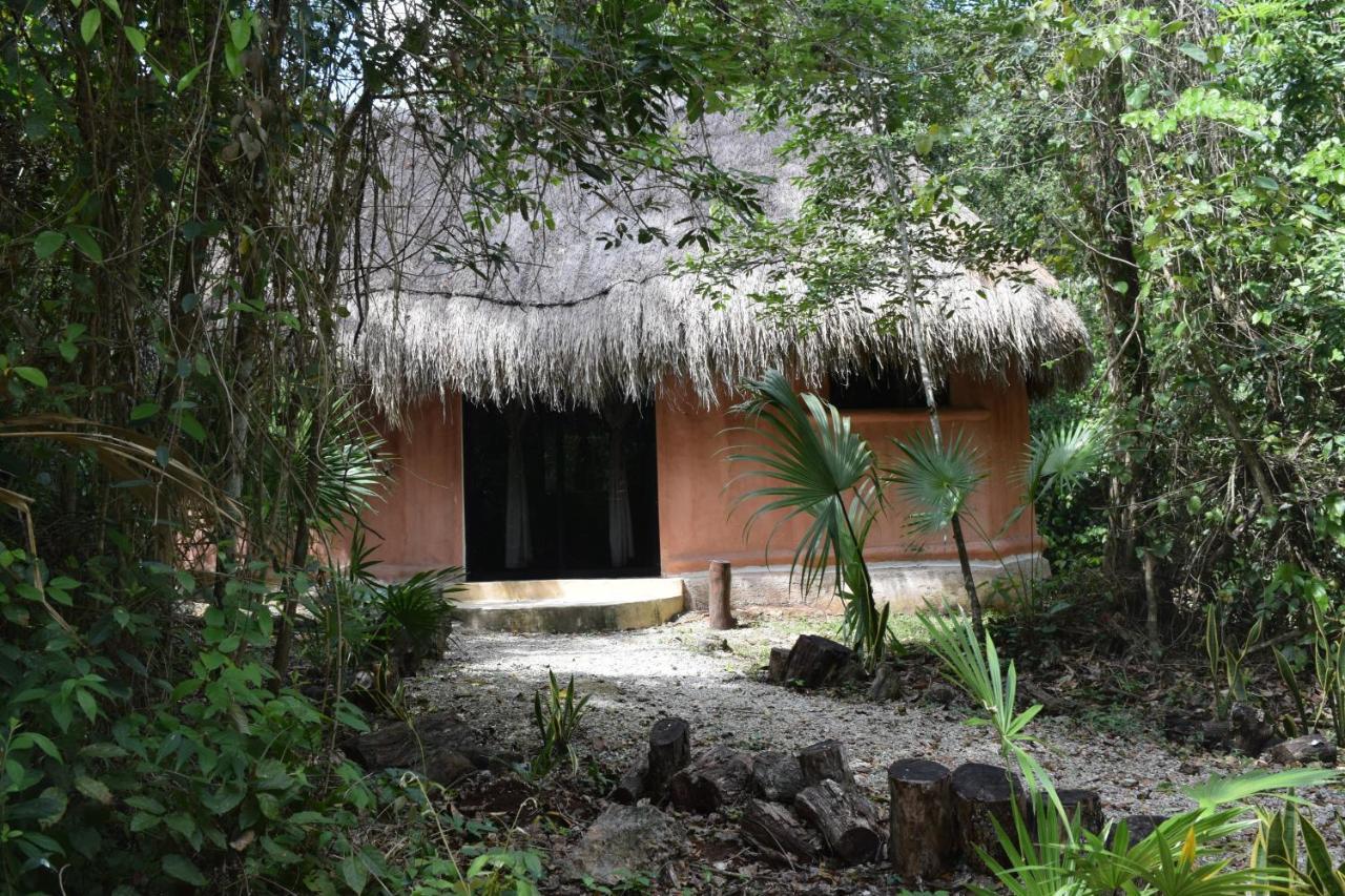 Jolie Jungle Eco (adults Only) Hotel Leona Vicario