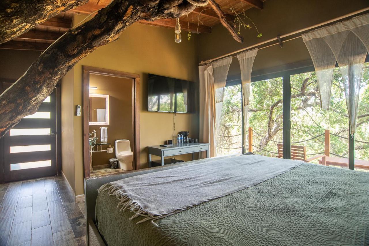 Boskenvid Boutique, Skypool Hotel Valle de Guadalupe