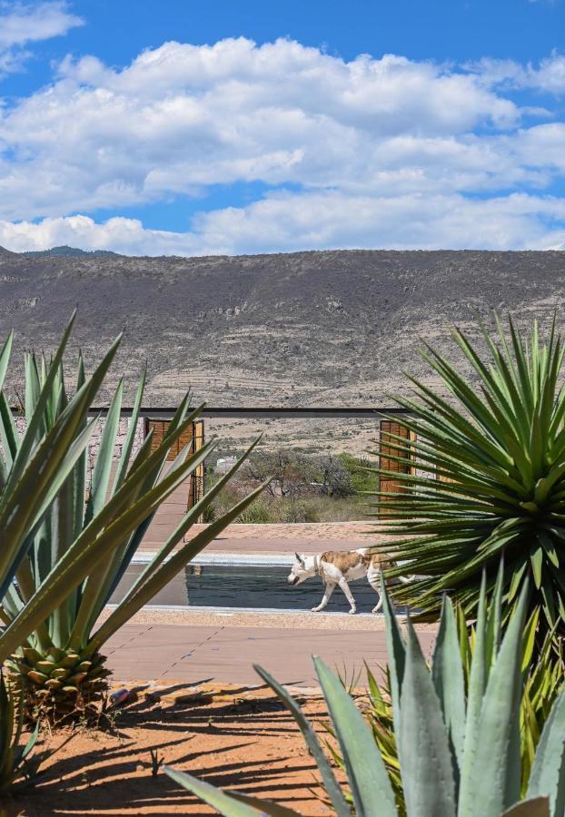 Casa Regina Oaxaca Lodge San Pablo Villa de Mitla