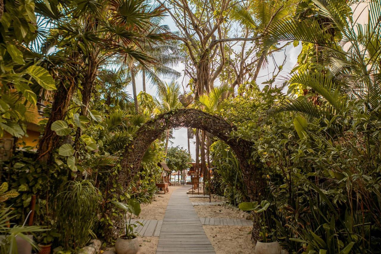 Hotel Casa Colibri 4*