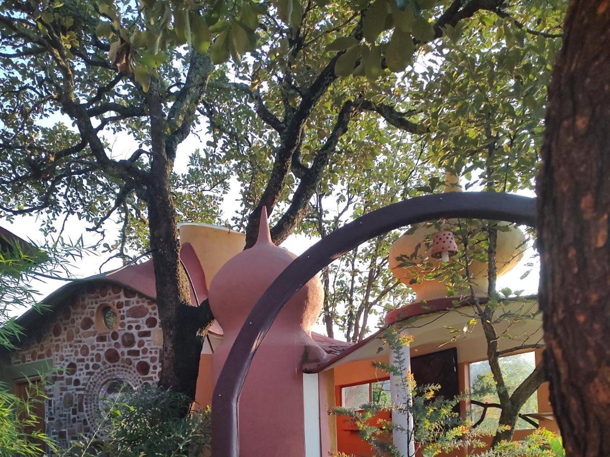 El Encinal De Flores Lodge