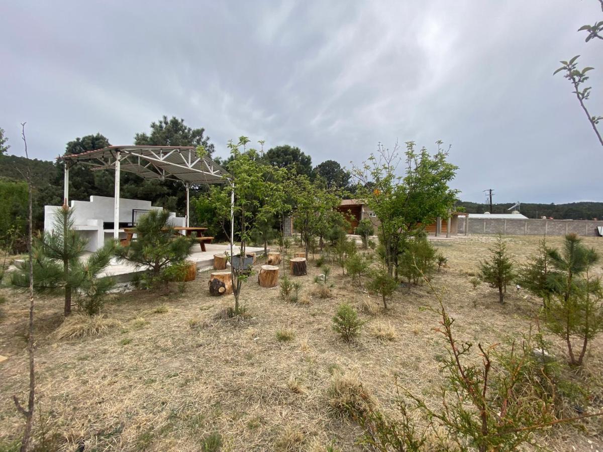 Rochivo Ranch * Creel