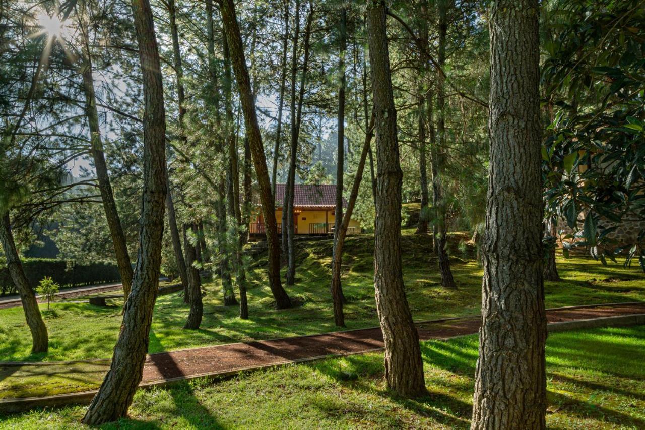 Bosque Escondido Mazamitla