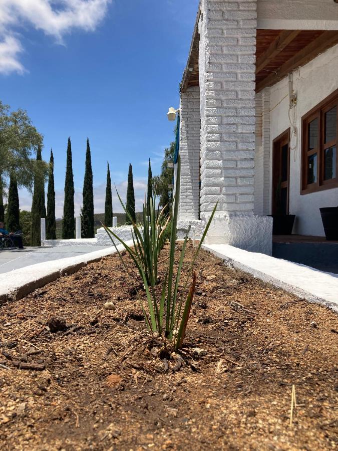 Homestay Casa Cipres Valle de Guadalupe