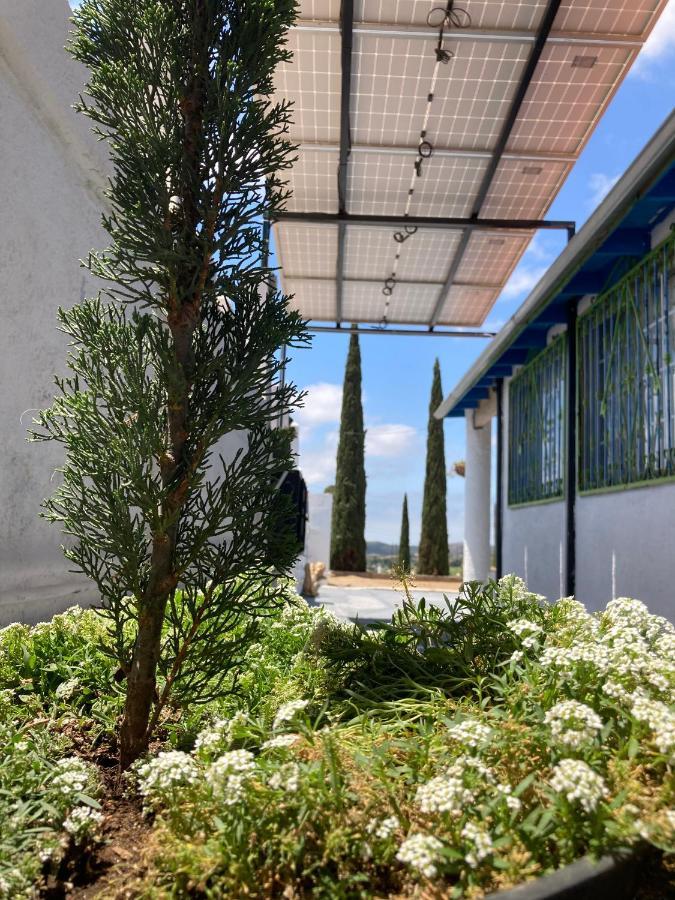 Homestay Casa Cipres Valle de Guadalupe