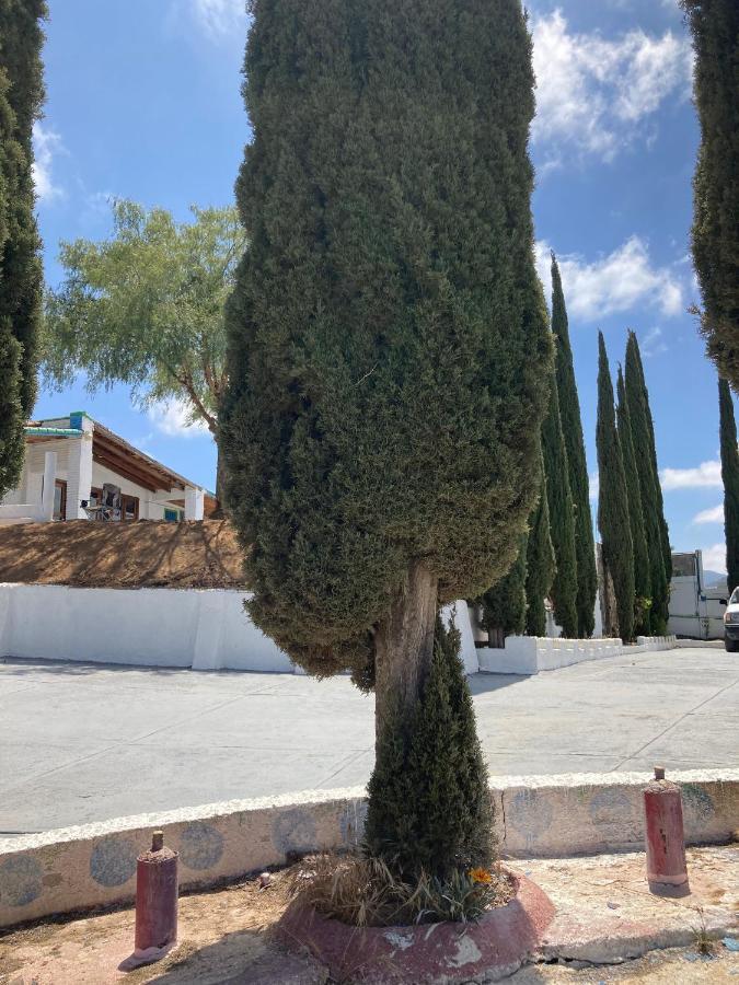 Casa Cipres Homestay Valle de Guadalupe