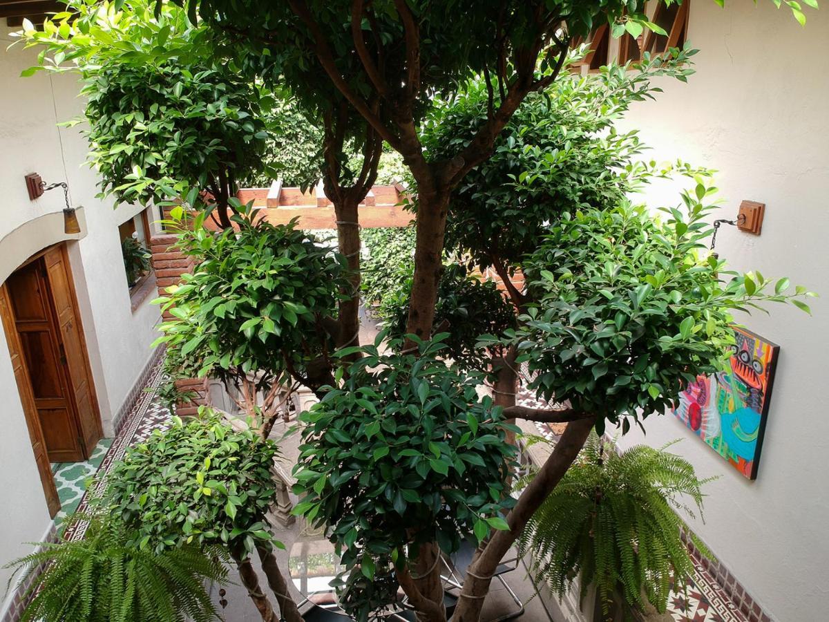 Meztli: Casa Boutique & 4* Mexico City