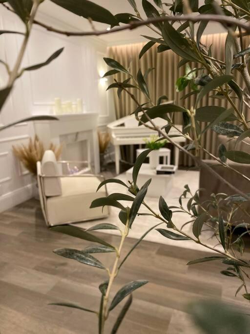 Exclusivo Departamento En Cdmx Apartment