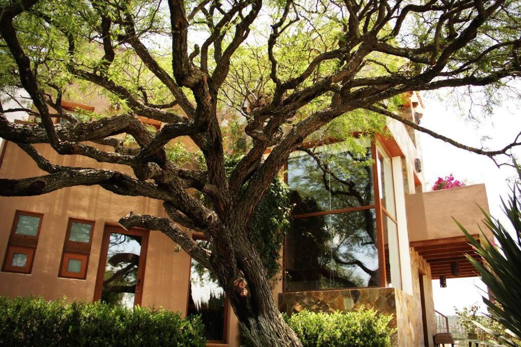 Luxury In San Miguel At Its Best. Villa