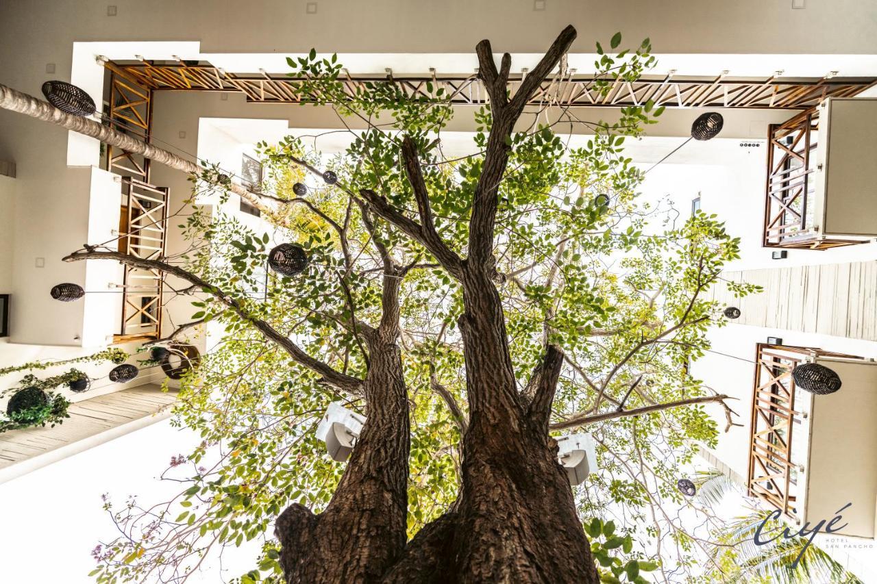 Hotel Ciye San Francisco (Nayarit)