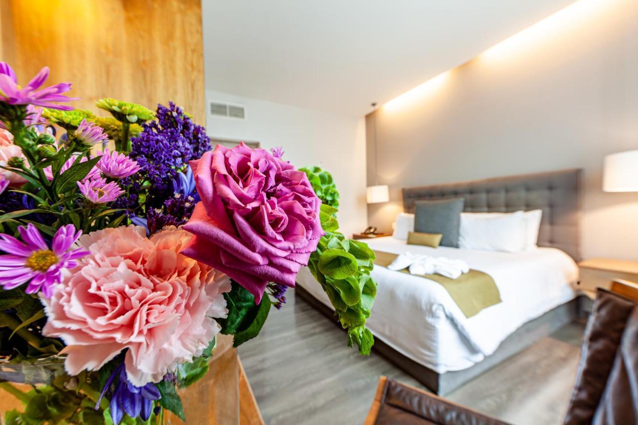 Aparthotel Del Angel Mexico City