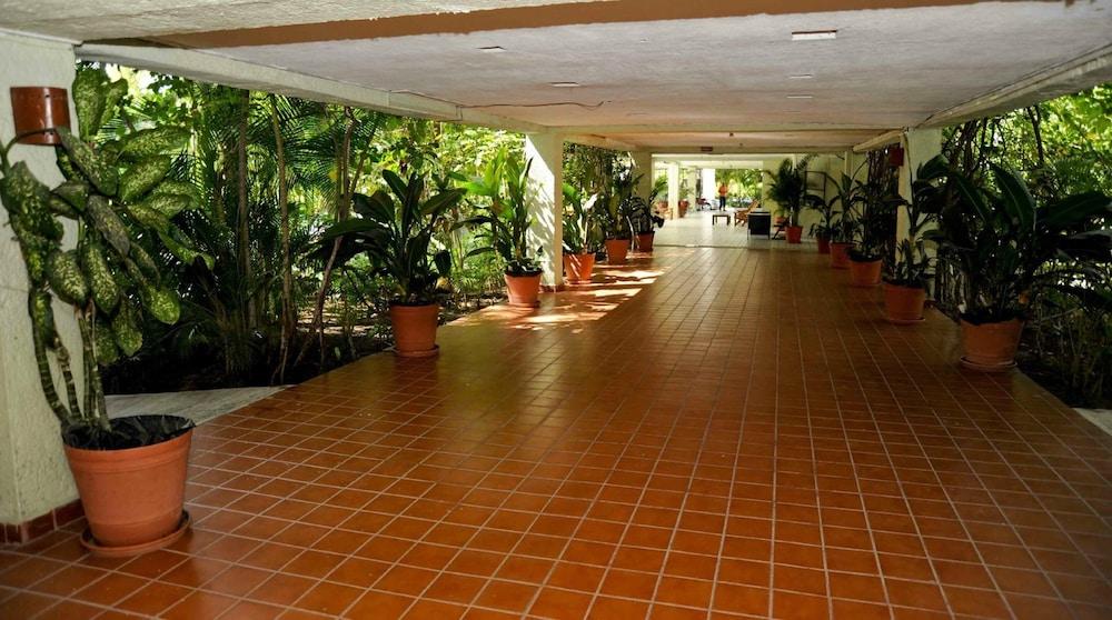 Paraiso 3* Ixtapa (Guerrero)