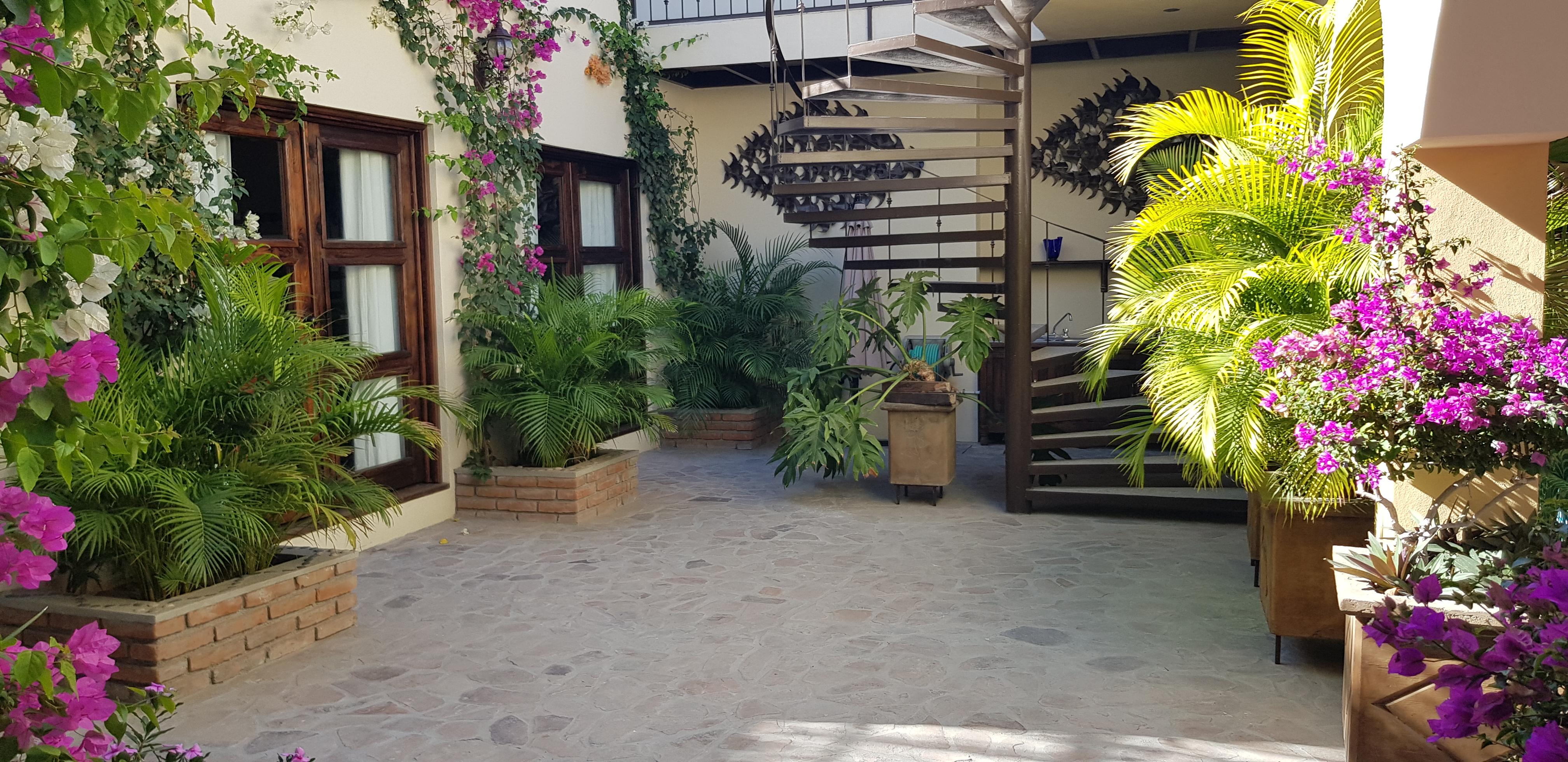Bed & Breakfast De Flores La Paz