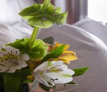 Bed & Breakfast Casa Aspeytia Boutique Queretaro