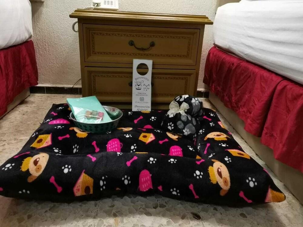 Hotel Olmeca Plaza Villahermosa