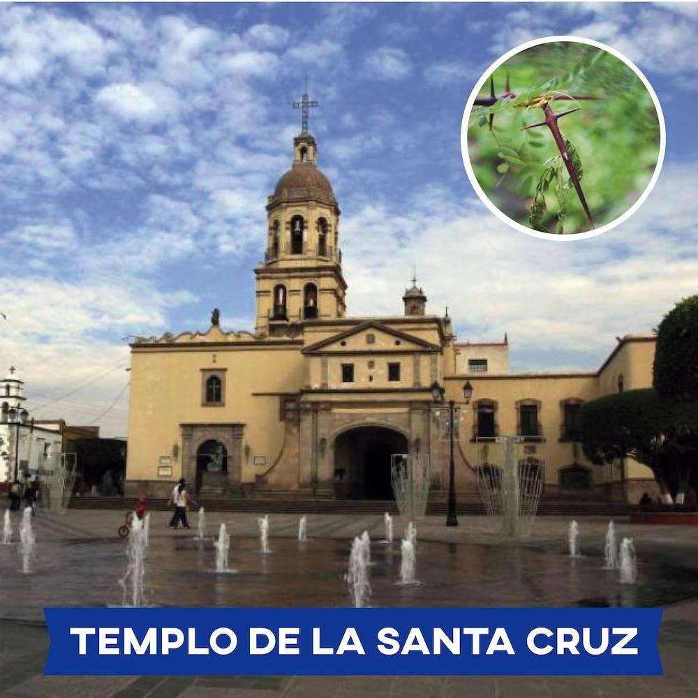 Hotel Hi Impala Queretaro
