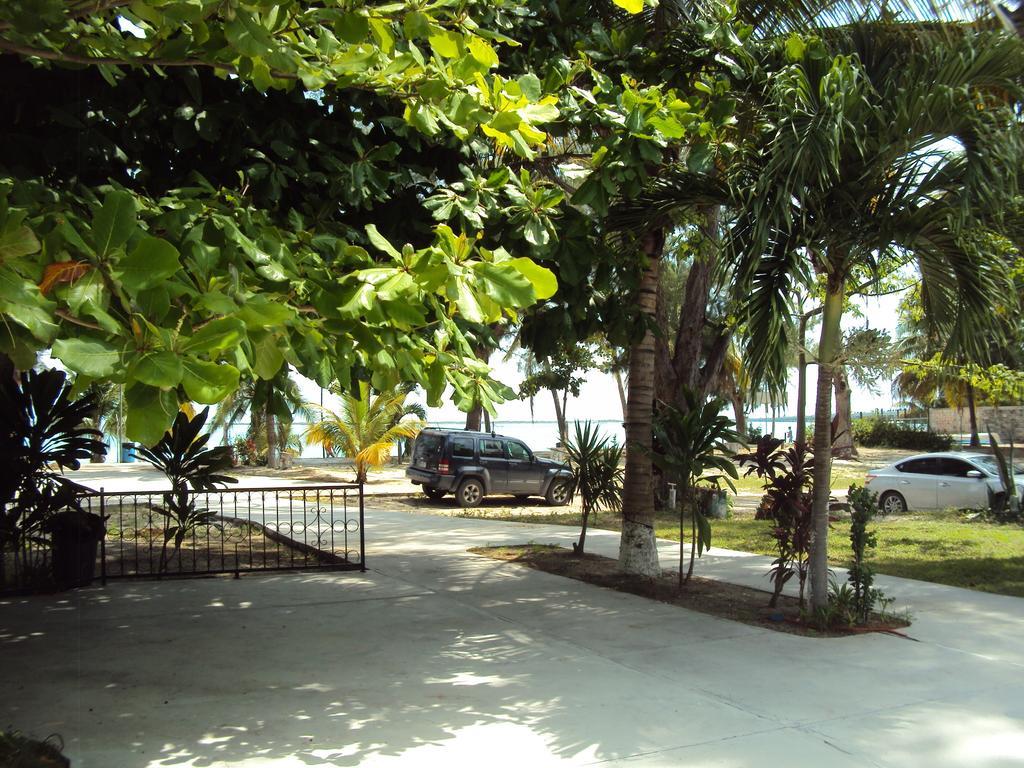 Freedom Shores 