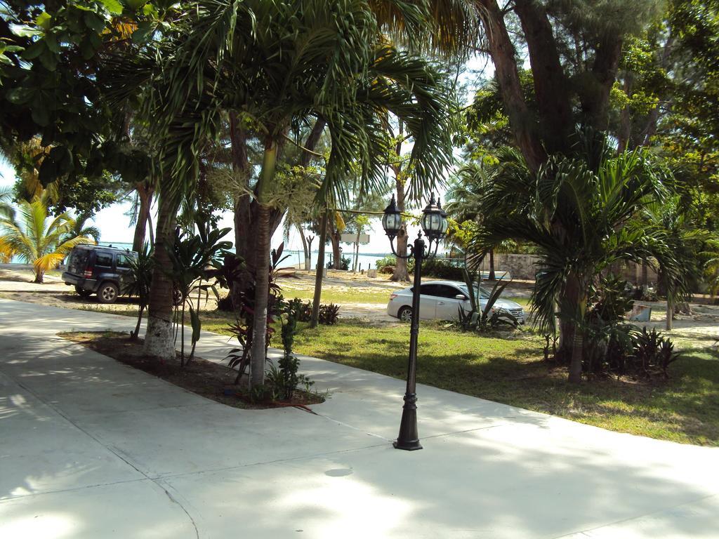 Freedom Shores 