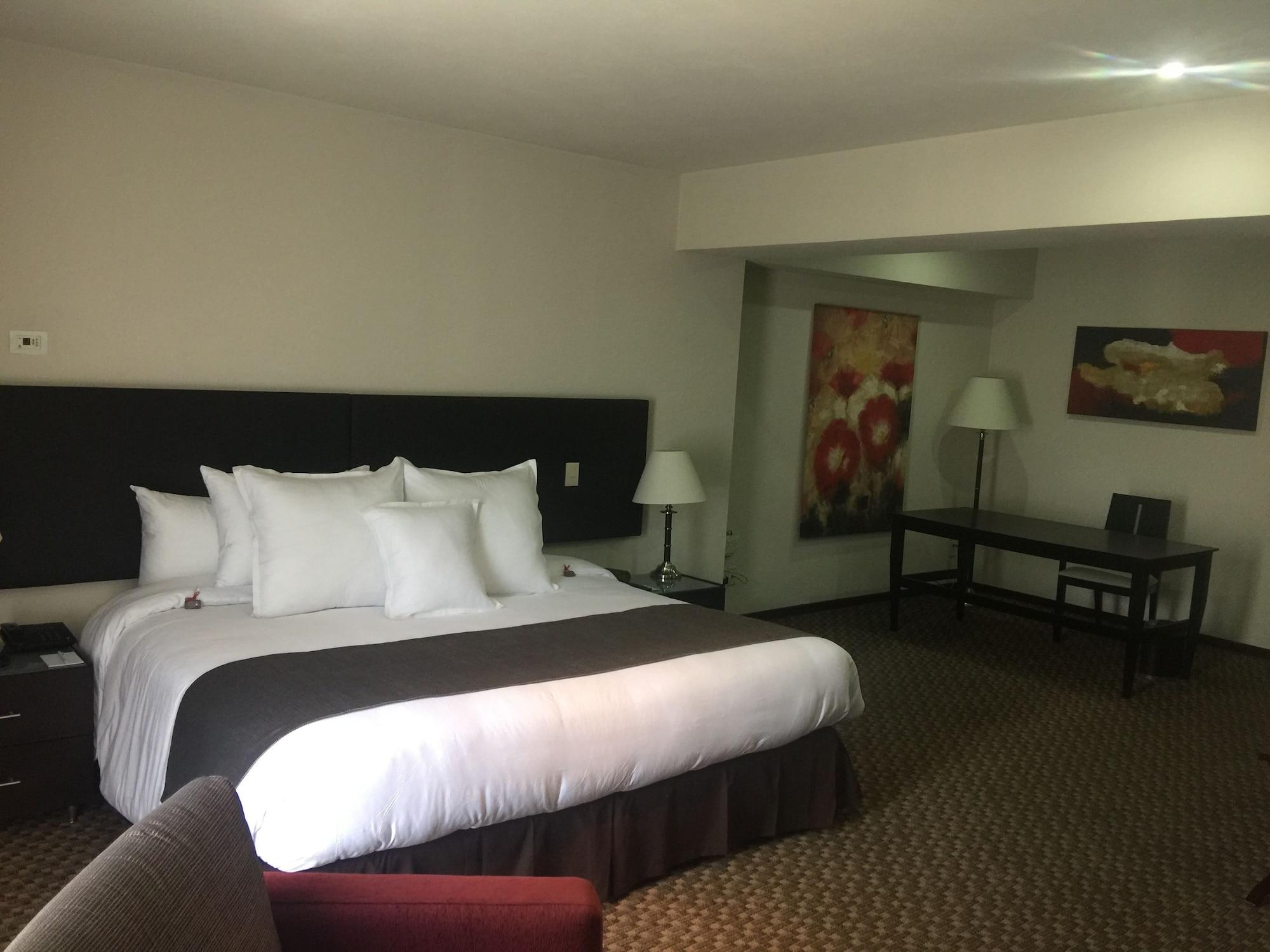 Hotel St Isidro Corporate Housing & Wellness Center Mexico City
