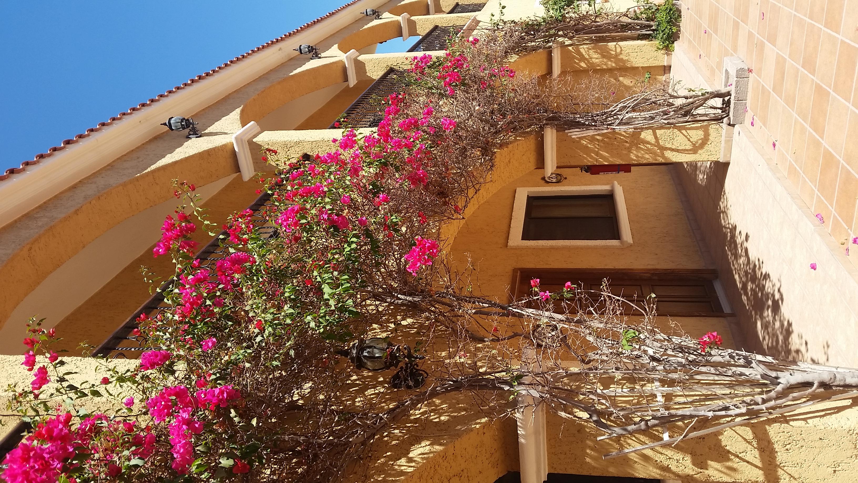 Hacienda Loreto Hotel