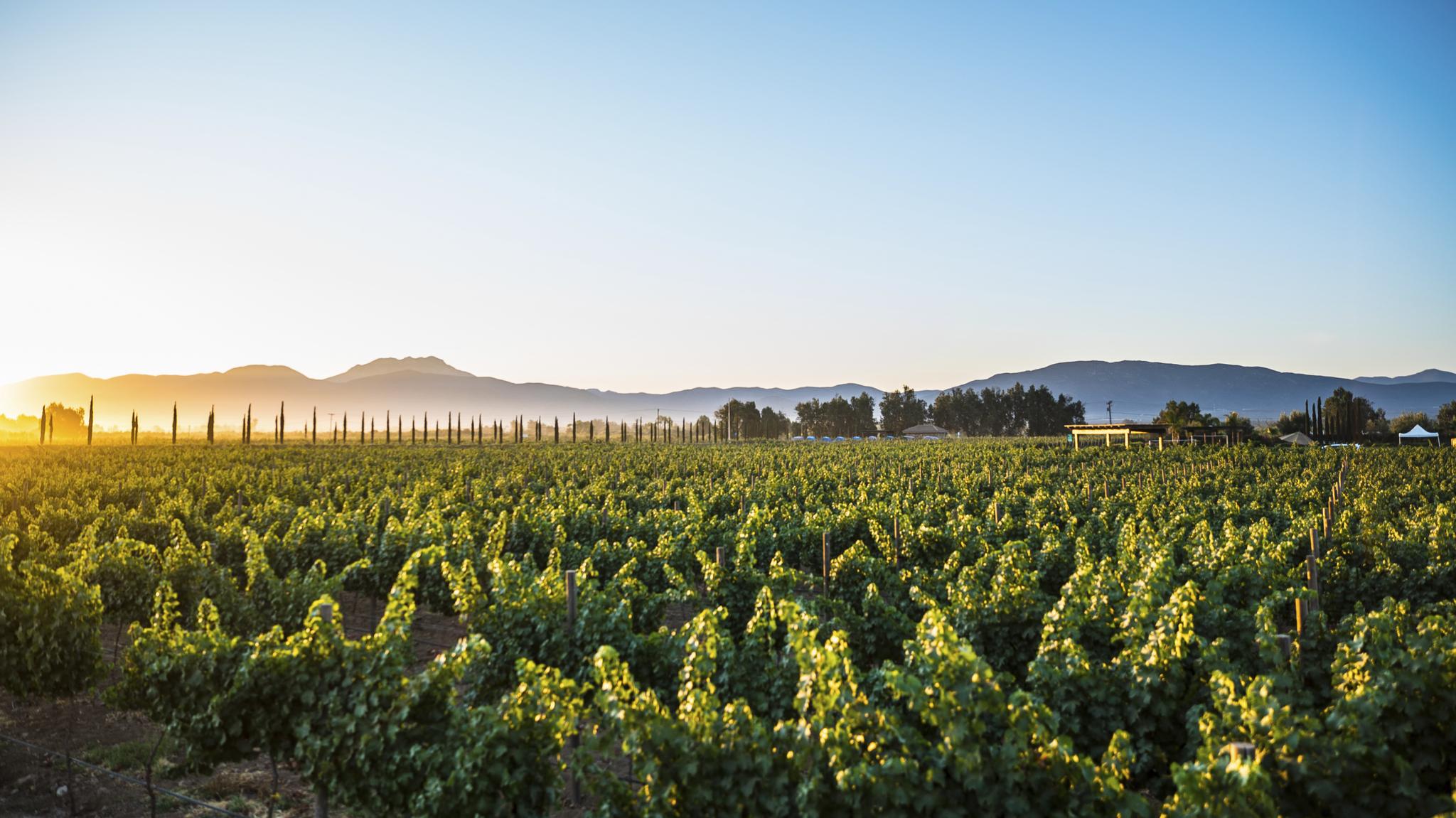 El Cielo Valle de Guadalupe