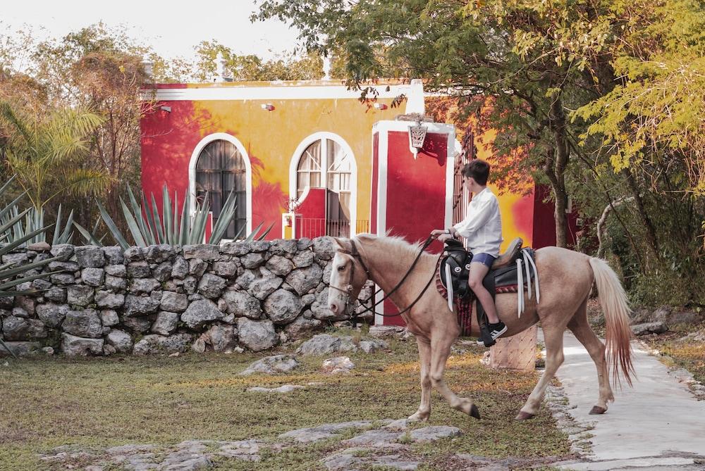 Hacienda Ticum Hotel Tixkokob