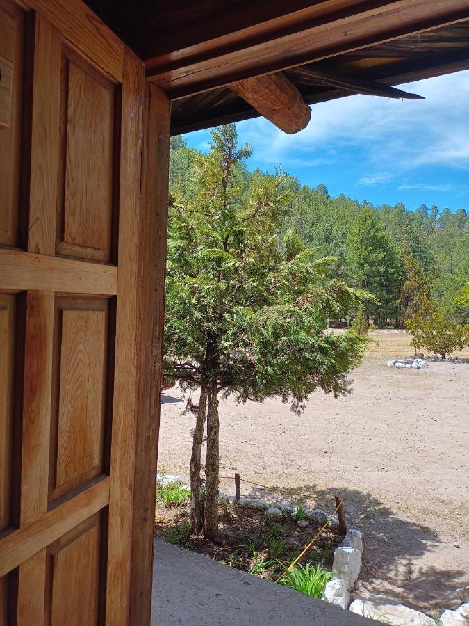 Guest house In Guest - Arewa 1 La Energia Que Impulsa El Alma Creel