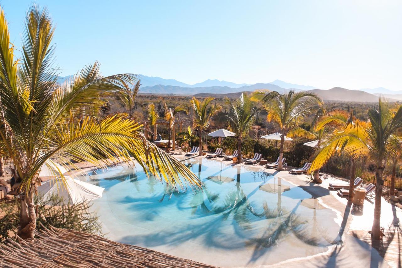 Baja Nomads - Adults 15 * Todos Santos