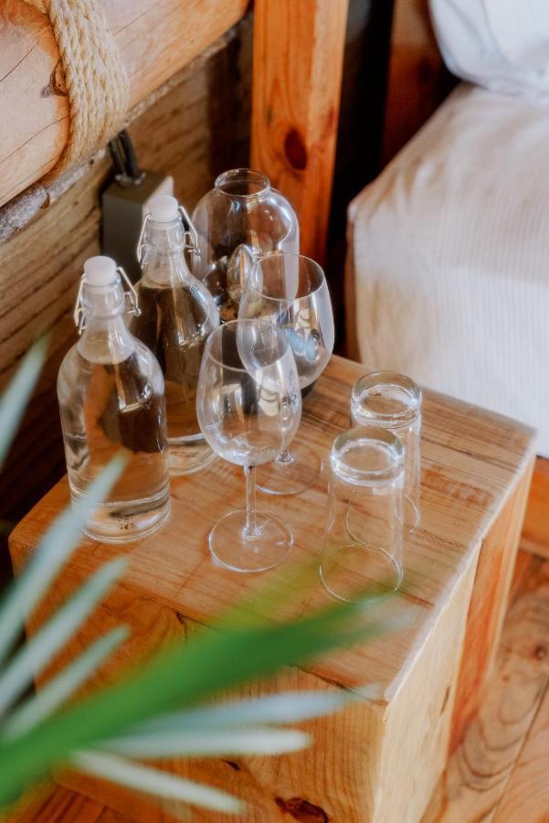 Baja Nomads - Adults 15 Todos Santos