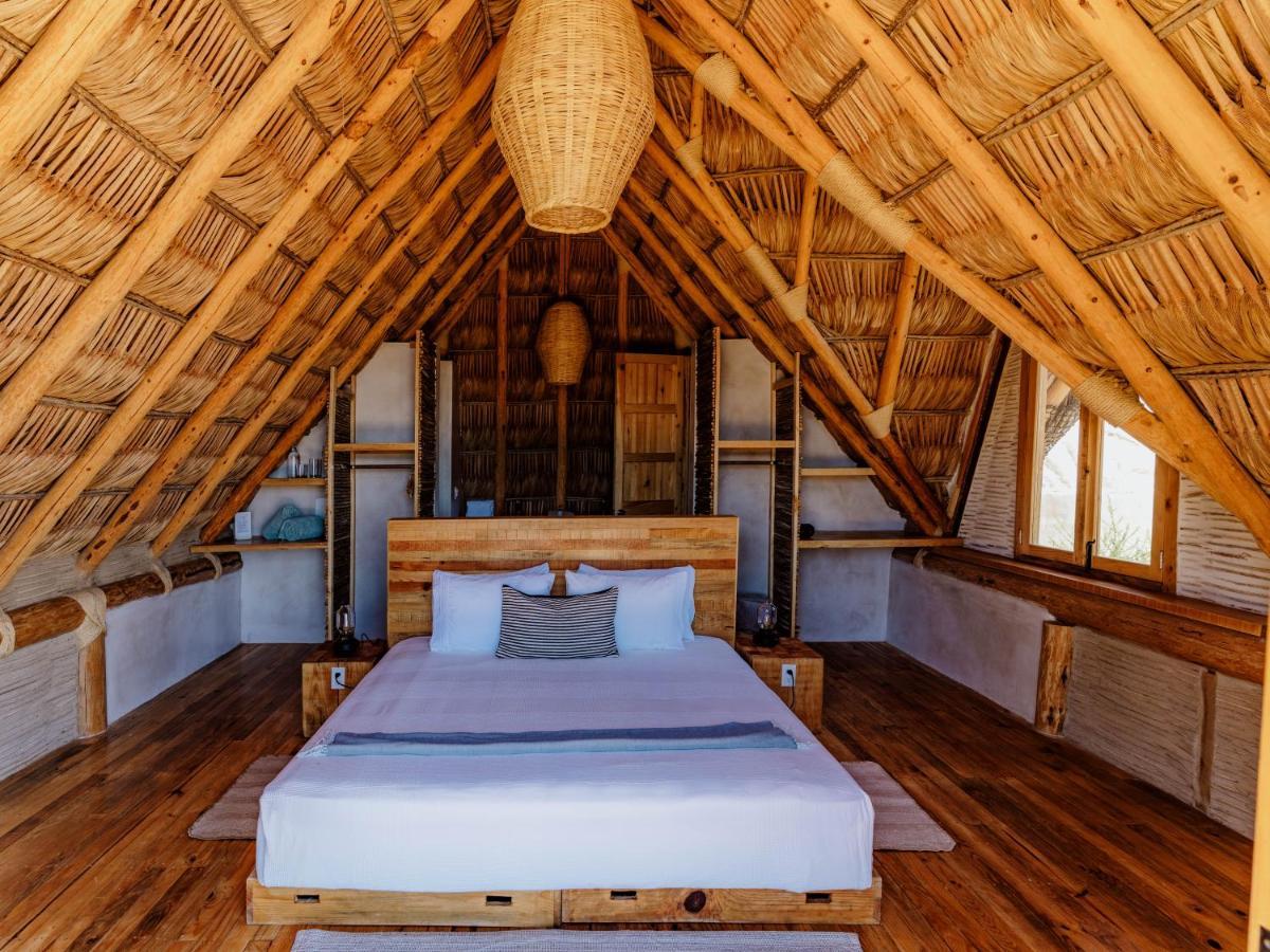 Baja Nomads - Adults 15 Todos Santos