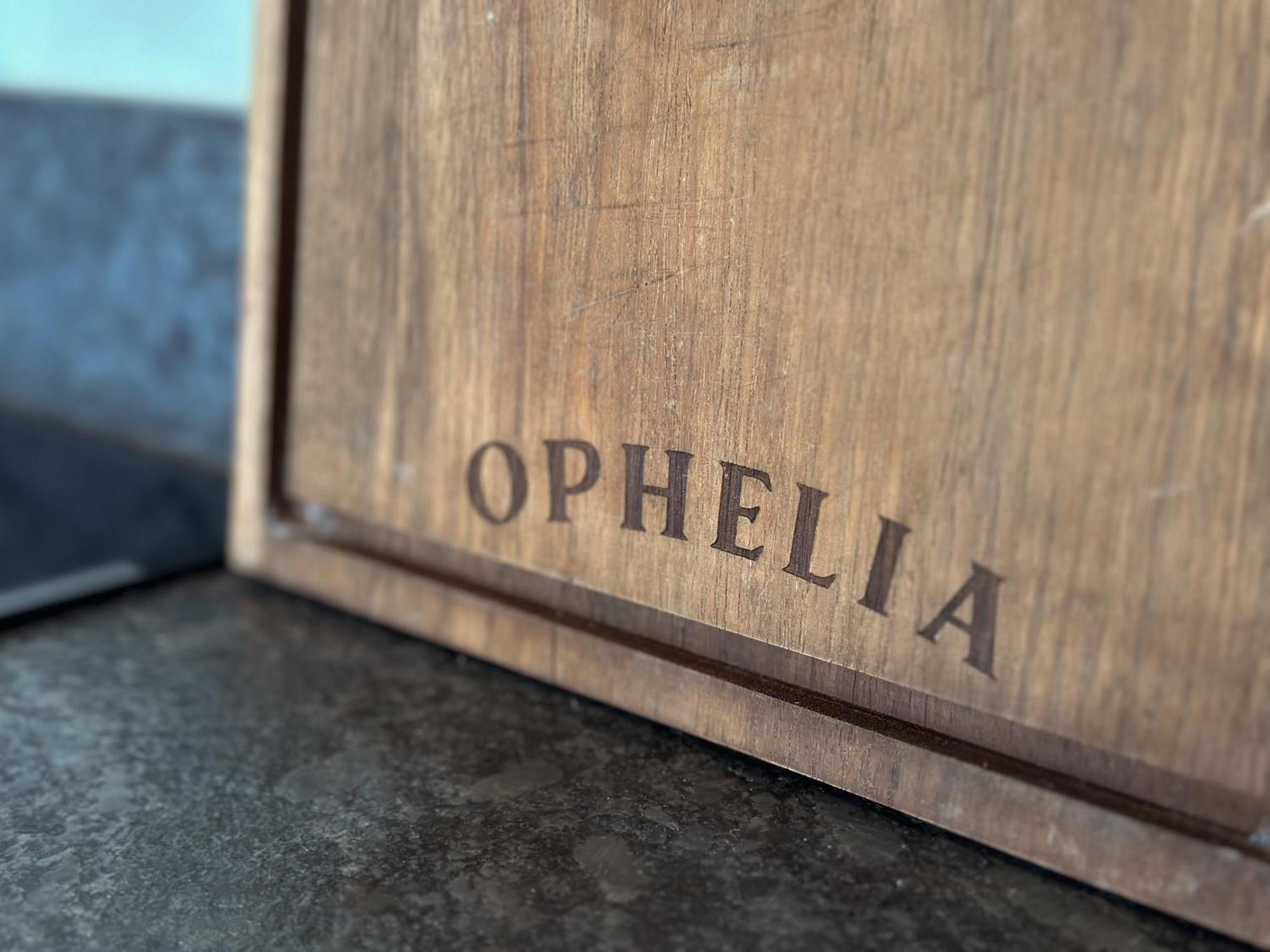 Ophelia Tulum Condo In Aldea Zama