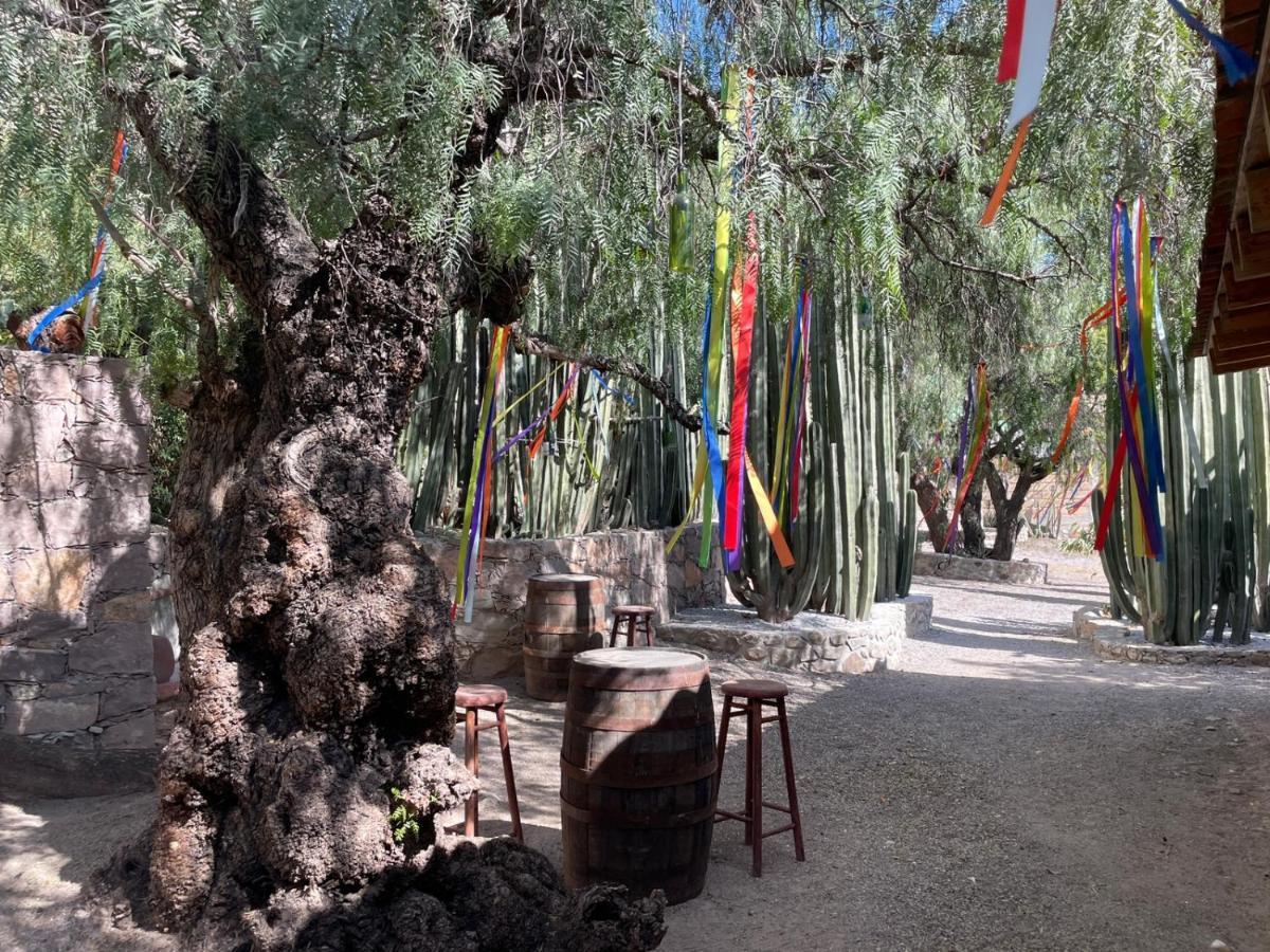 Boutique La De Don Luis