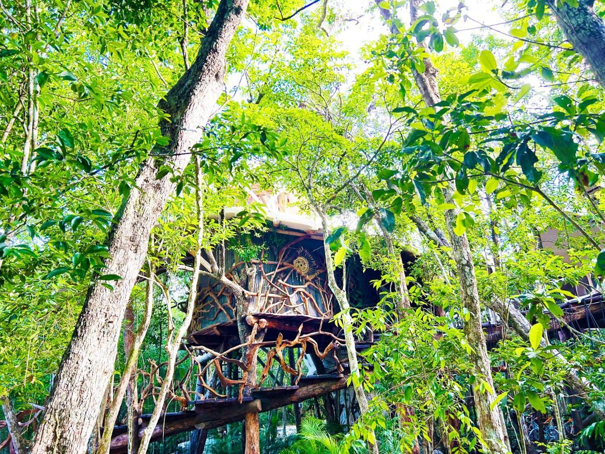 Campsite Ikalar *