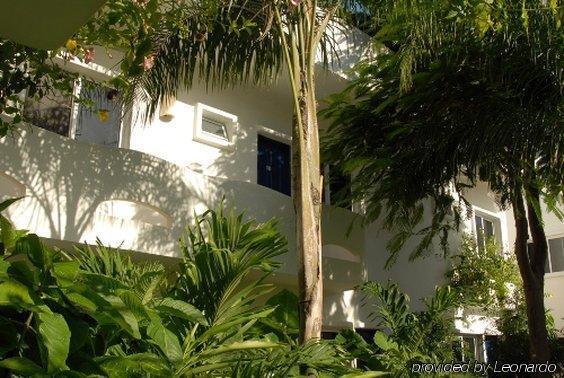 Aqualuna Boutique By Sunrise (adults Only) 3* Playa del Carmen