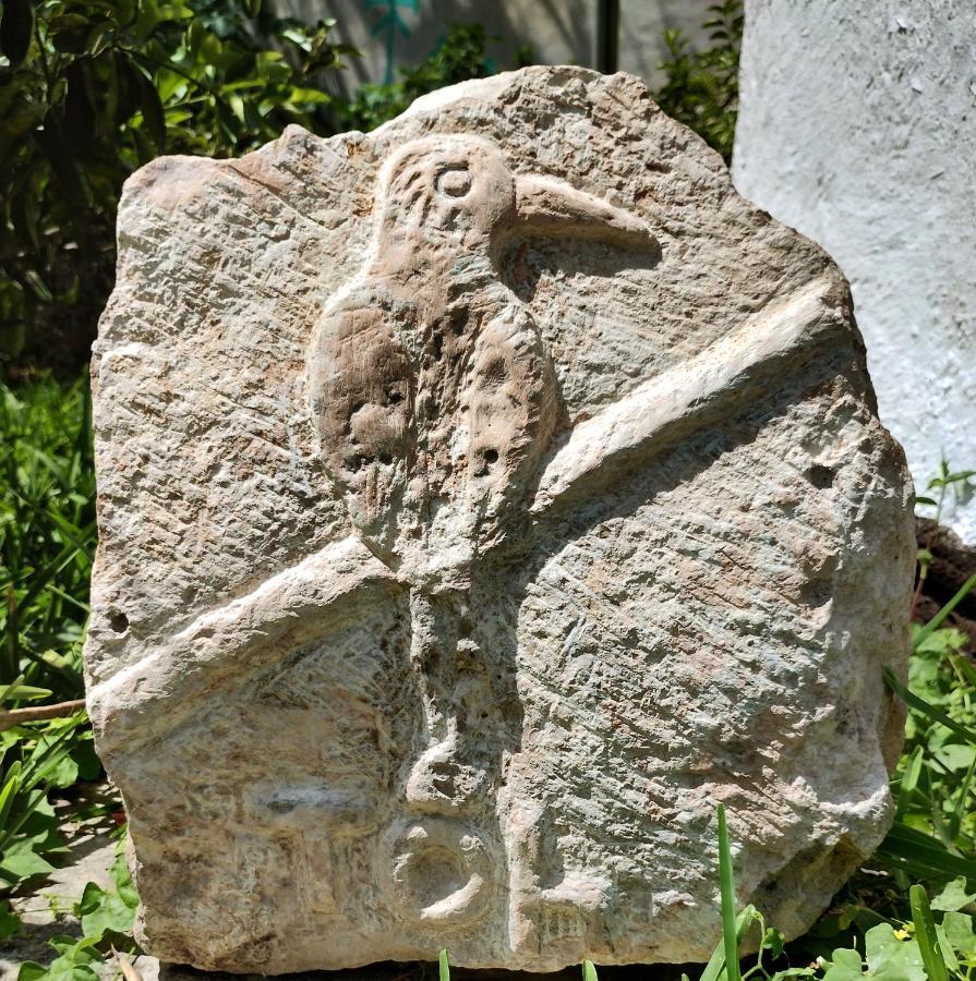 Y Museo Aldea Maya Toktli Origenes - Village, Alberca, Wifi Starlink, Tour Museo * Izamal