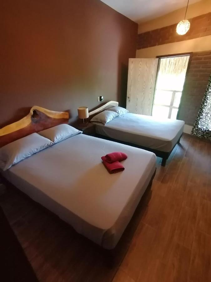 Ave Fenix Capsule hotel *