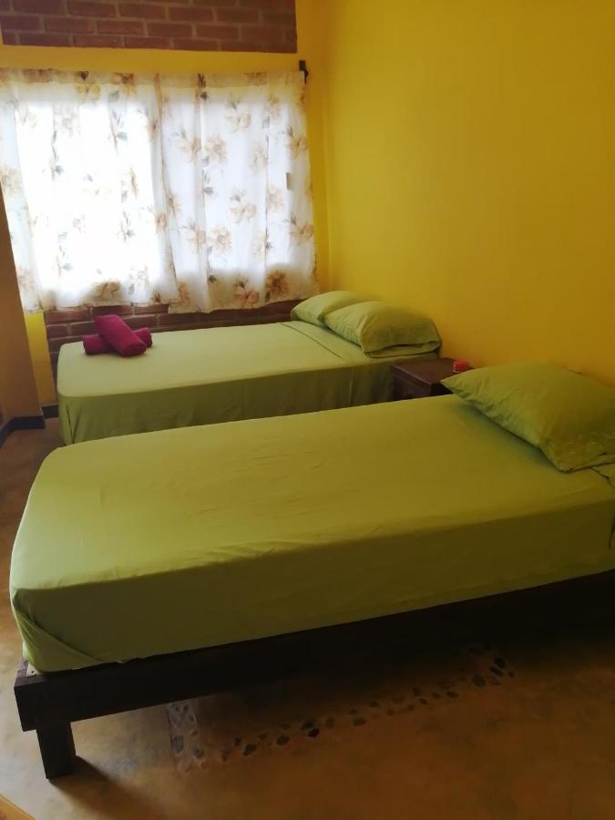 Capsule hotel Ave Fenix Mazunte