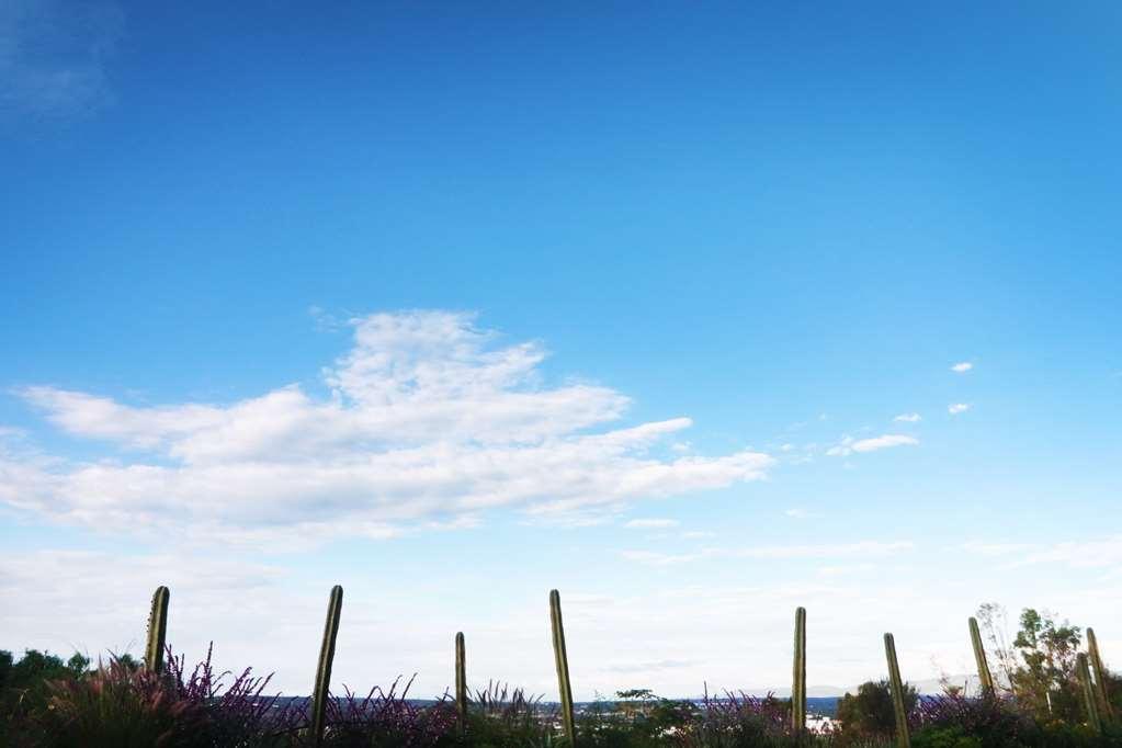 Hotel Albor Tapestry Collection By Hilton San Miguel de Allende