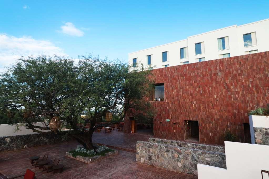 Albor Tapestry Collection By Hilton Hotel San Miguel de Allende