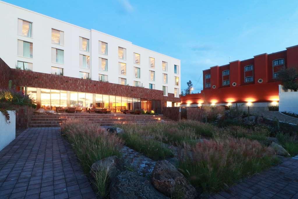 Albor Tapestry Collection By Hilton Hotel