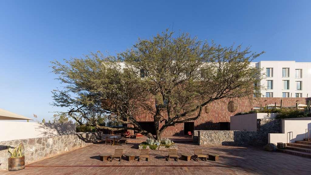 Albor Tapestry Collection By Hilton 4* San Miguel de Allende