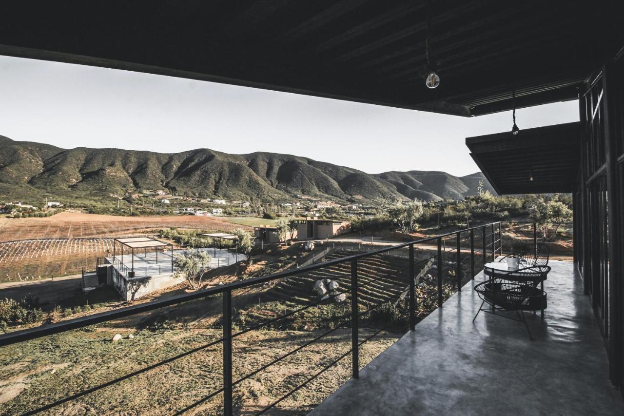 Origen75 Loft - - Skypool - Vinedo, Valle de Guadalupe