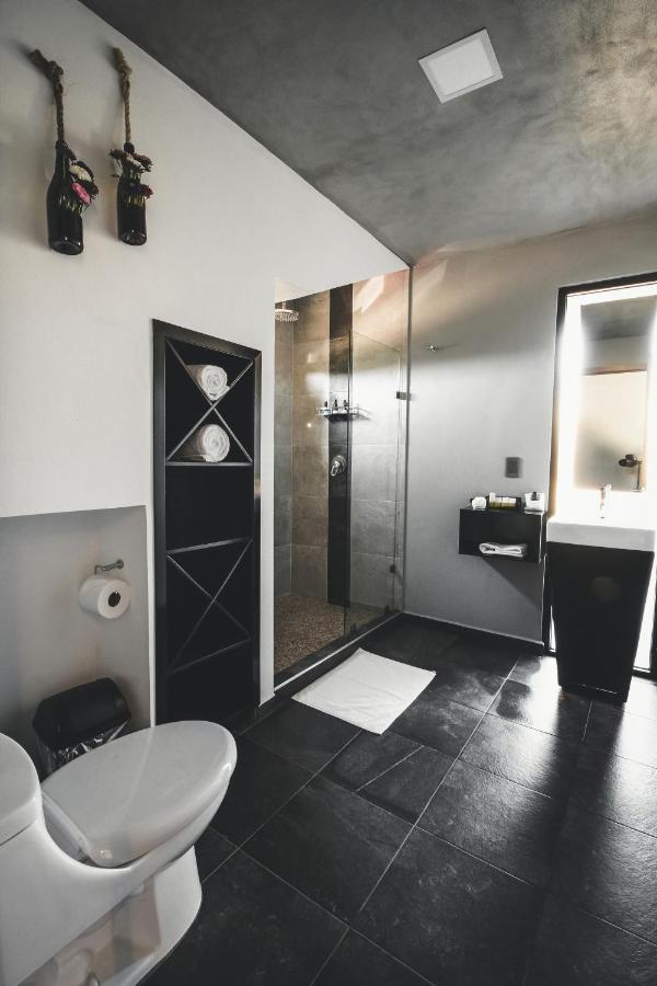 Origen75 Loft - - Skypool - Vinedo, Valle de Guadalupe