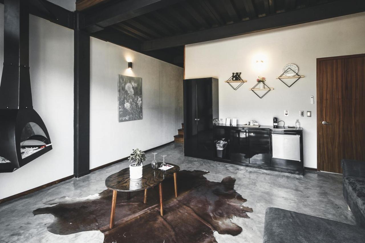 Origen75 Loft - - Skypool - Vinedo, Valle de Guadalupe