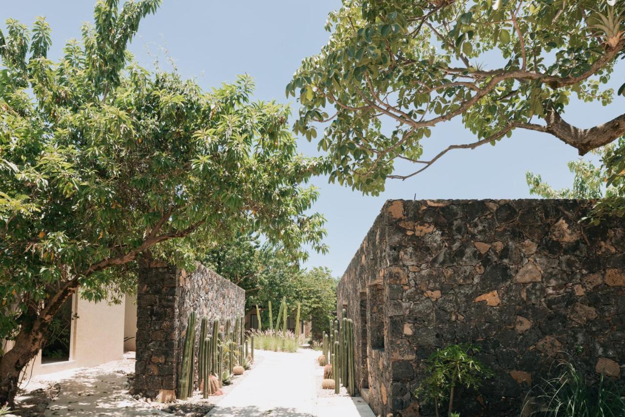 Resort Piedraviva Tepoztlan