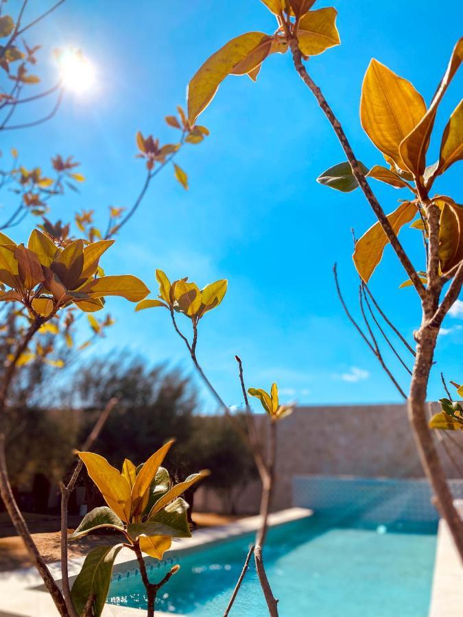 Mya Hotel *