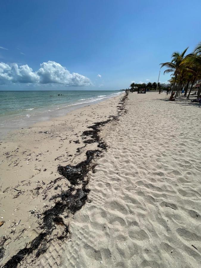 Guest house Itze Boutique - Progreso Progreso (Yucatan)