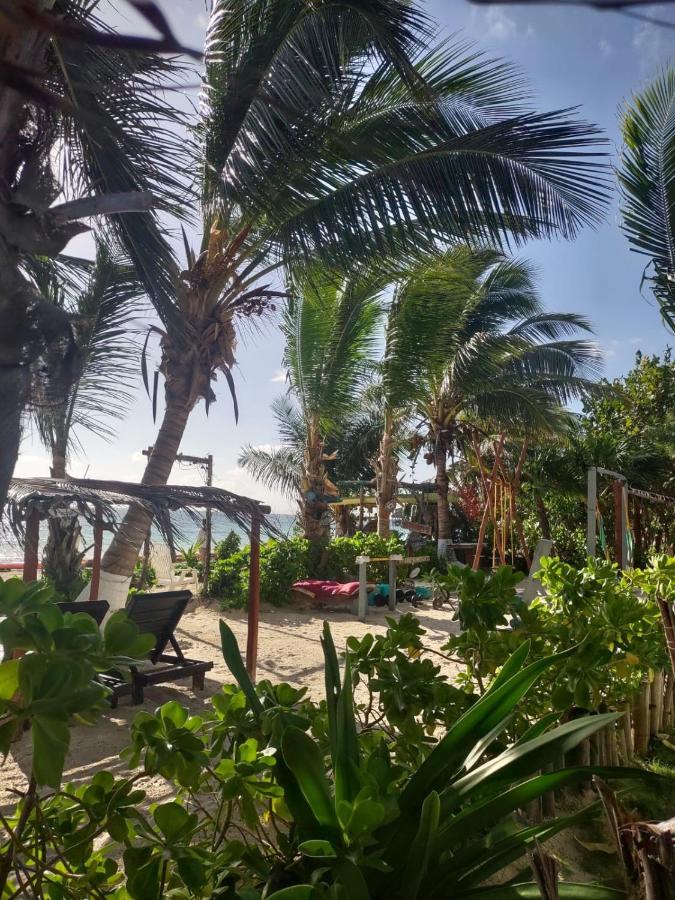 Lunazul Eco-cabana Frente Al Mar Mahahual
