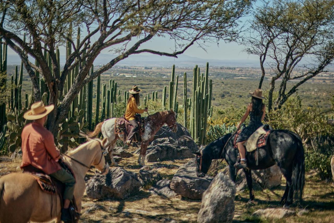 Our Habitas San Miguel de Allende