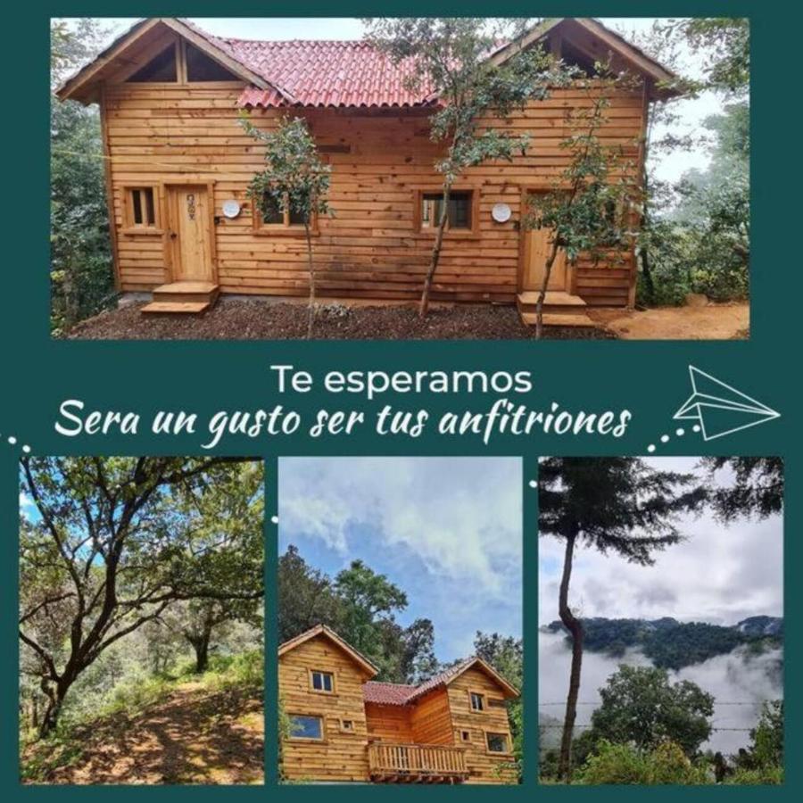 Mariposa - Puerto Del Zopilote Pinal de Amoles
